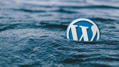 [BẬT MÍ] Có Nên Thiết Kế Web Bằng WORDPRESS Hay Không?