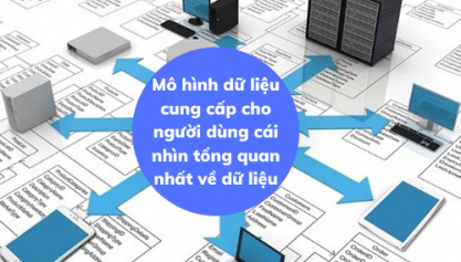 Mô hình dữ liệu là gì? Các yếu tố mô hình hóa dữ liệu