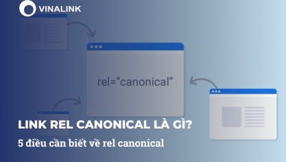 Link rel canonical là gì? 5 điều cần biết về rel canonical
