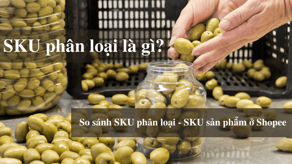 Sku phân loại là gì