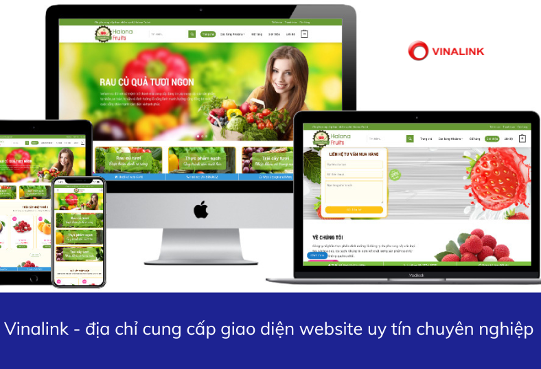 Vinalink - địa chỉ cung cấp kho giao diện website uy tín chuyên nghiệp