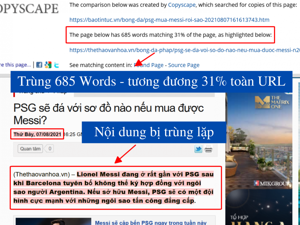 Cách sử dụng copyscape