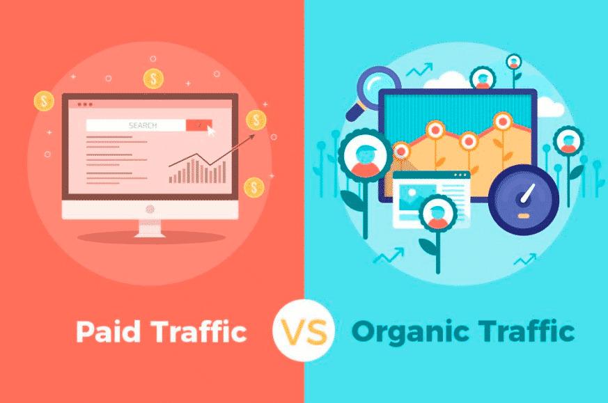 Paid Traffic và Organic Traffic